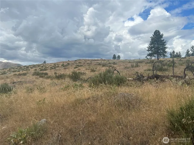 a view of a town with trees