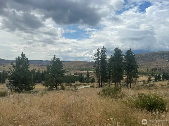 a view of river covered by trees