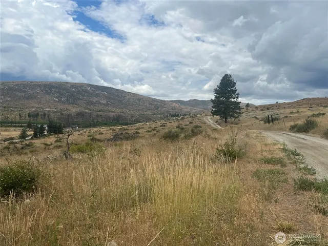a view of a town with big trees