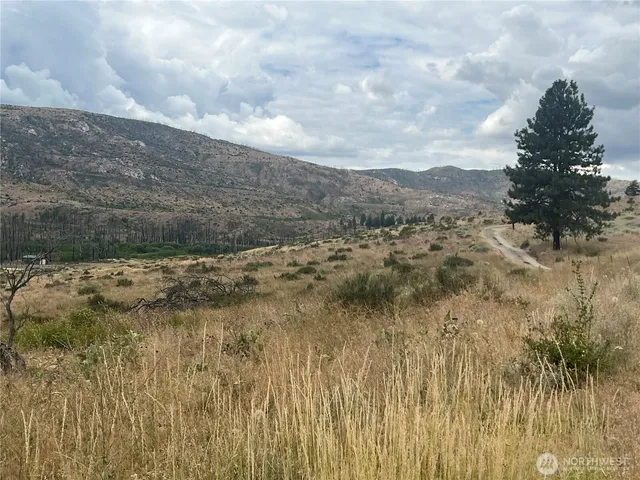 a view of a lake with lots of trees