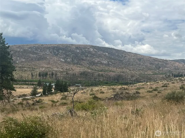 a view of a lake with a mountain