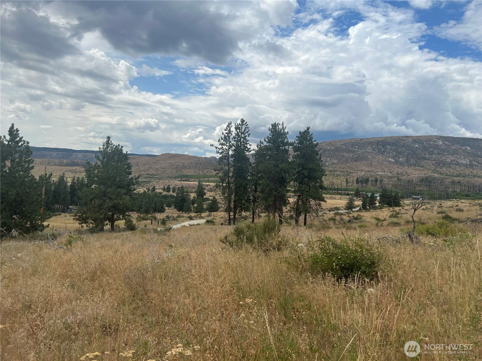 10 Landers Road Malott, WA 98829 - Photo 26 of 39 a view of a town with big trees