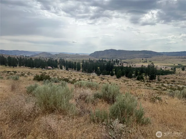 a view of a dry yard