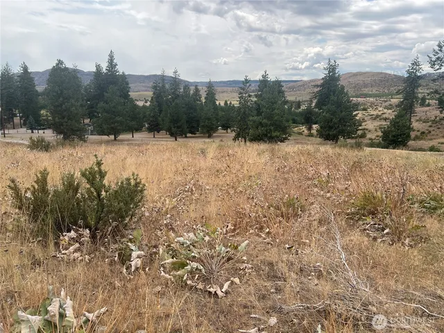 a view of a covered with snow in the background