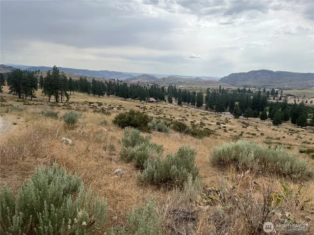 a view of a town with mountains in the background