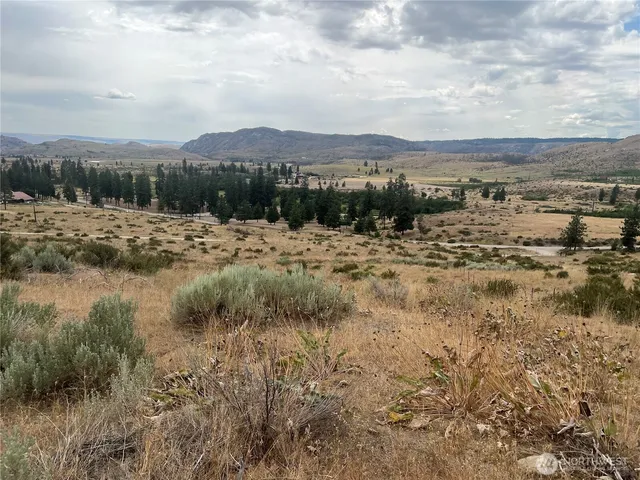 a view of a dry field