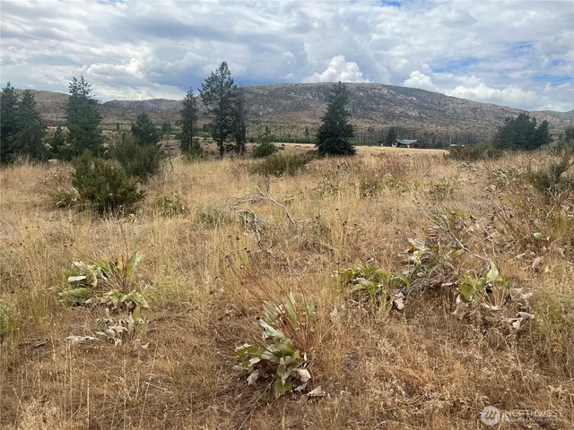 a view of a dry yard