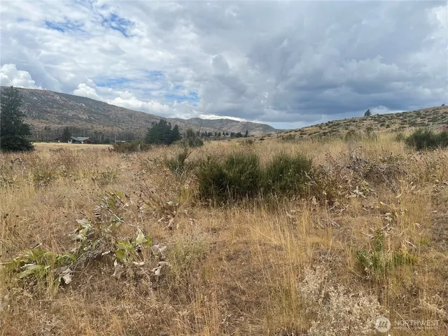 a view of a dry yard with trees