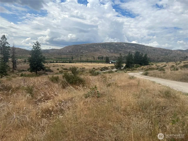 a view of a lake from a yard