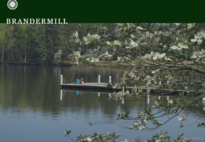 3904 Echo Ridge Place Midlothian, VA 23112 - Photo 19 of 26 a view of a lake with houses