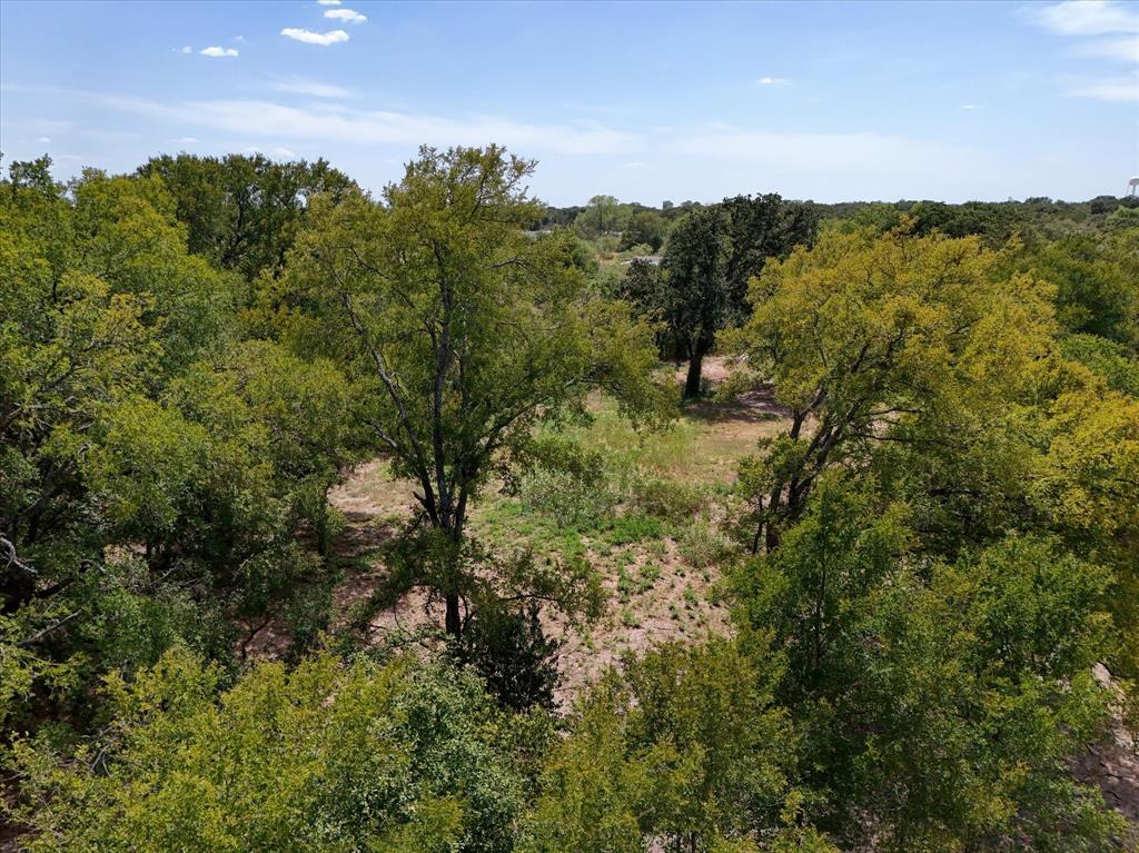 Tbd000 Williams Road Waco, TX 76705 - Photo 6 of 15 Expansive wooded acreage featuring mature trees and natural terrain