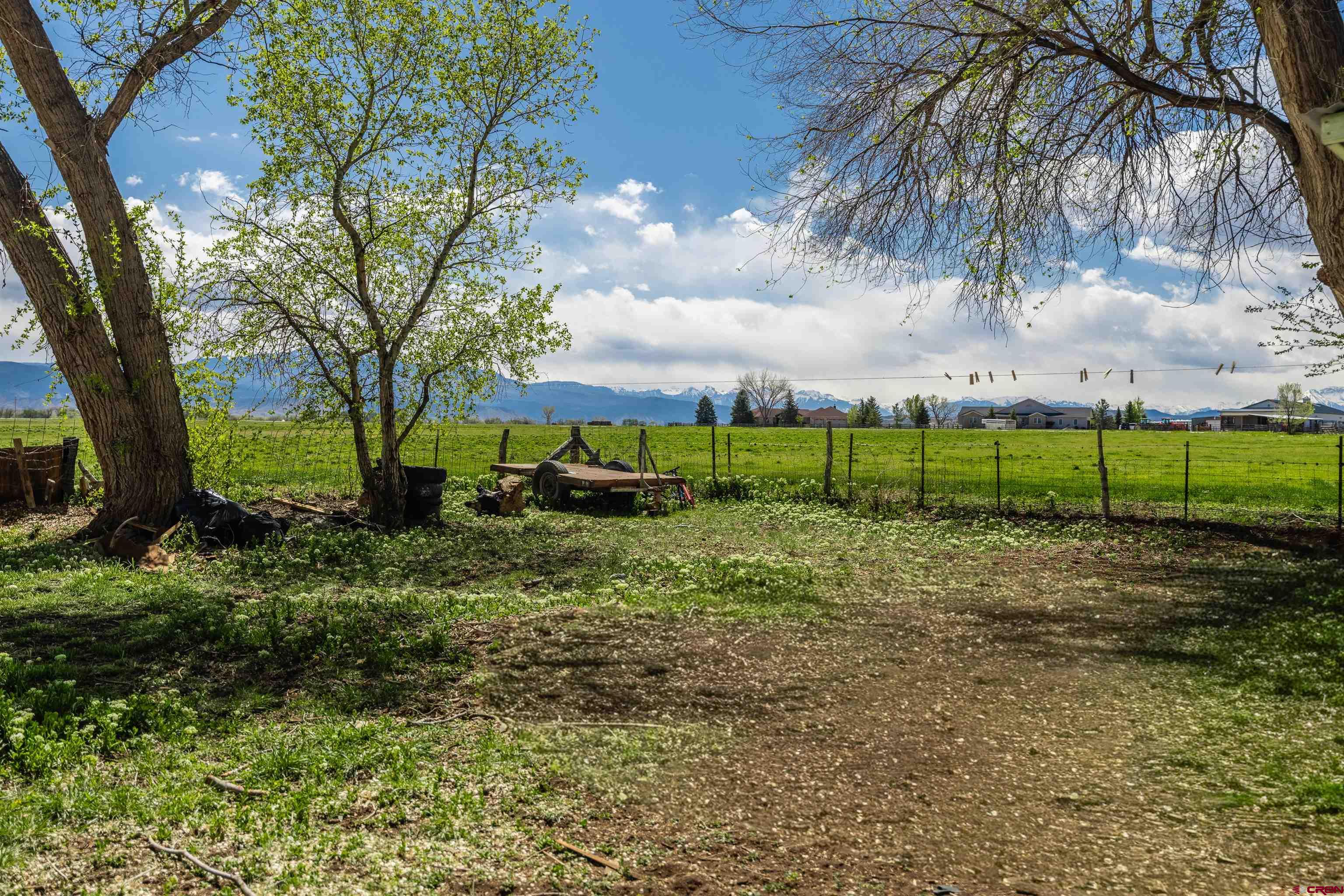 17174 6450th Road Montrose, CO 81403 - Photo 4 of 17