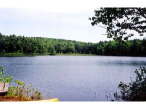 7 Sandy Cove Road Rindge, NH 03461 - Photo 3 of 4