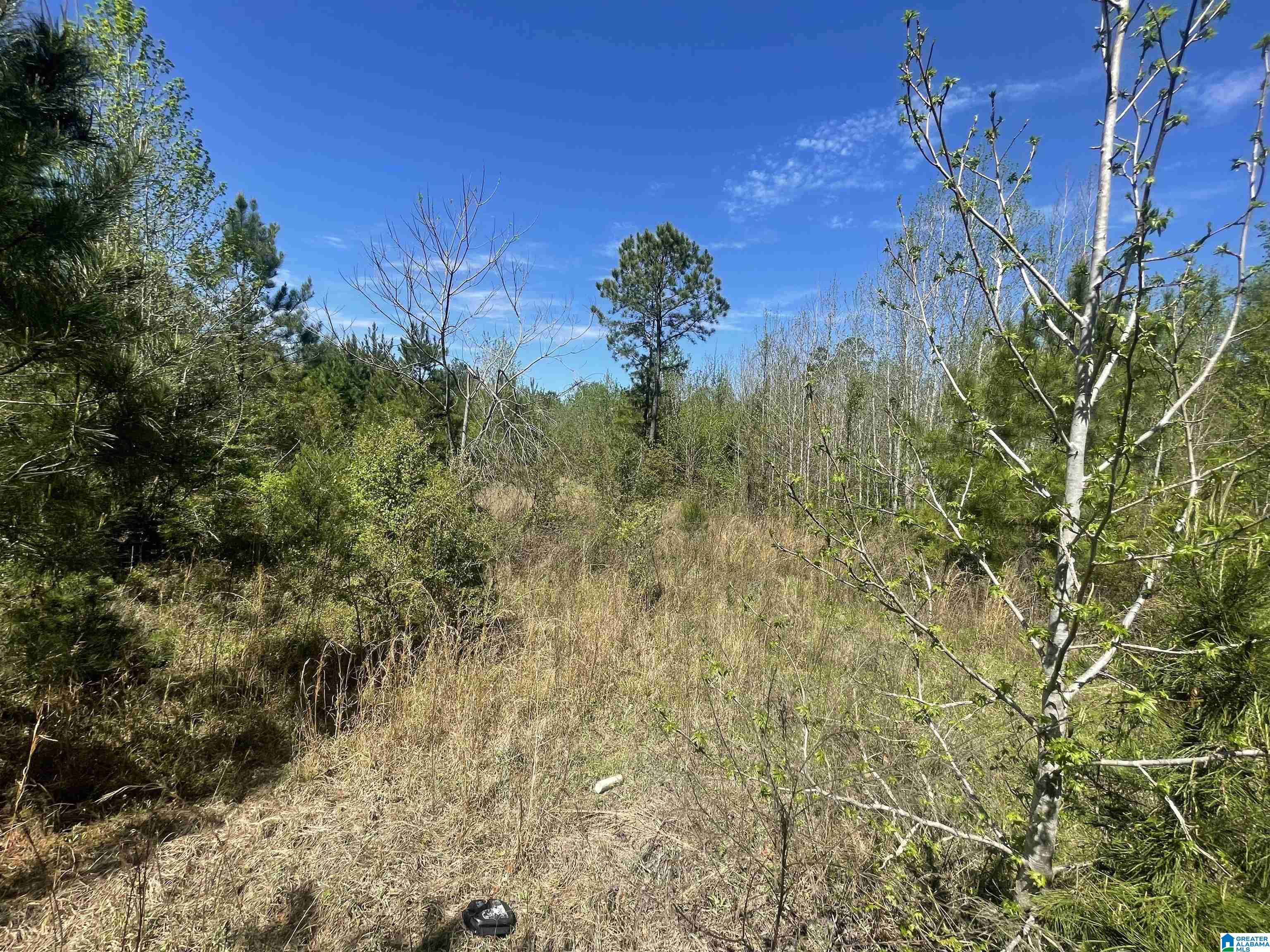 0 Richardson Road Brewton, AL 36426 - Photo 42 of 47