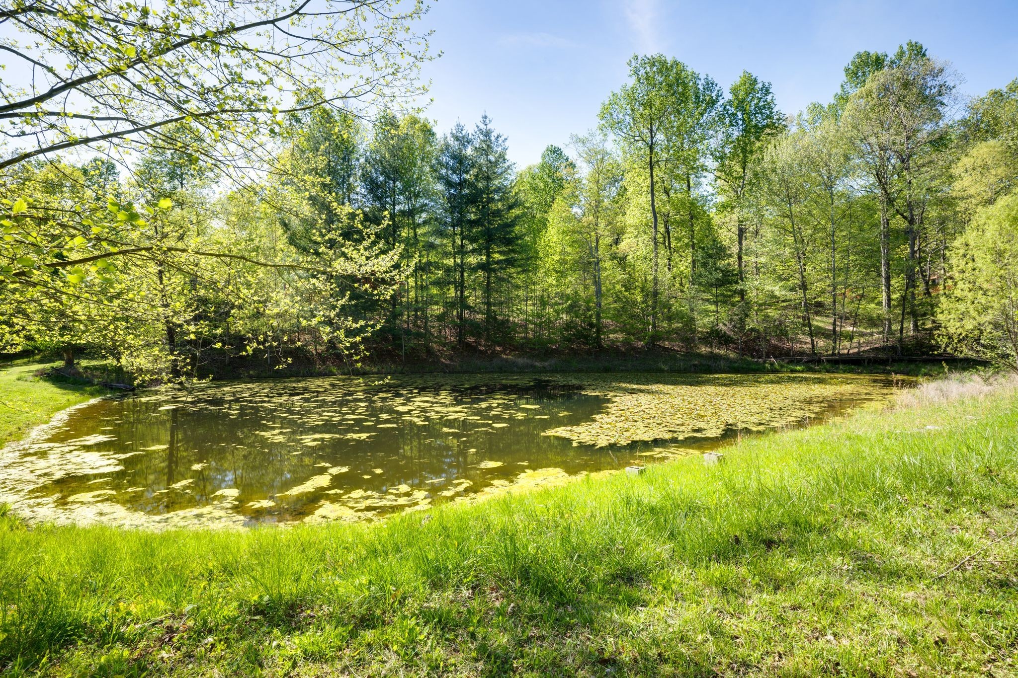 735 Keytown Road Portland, TN 37148 - Photo 66 of 70