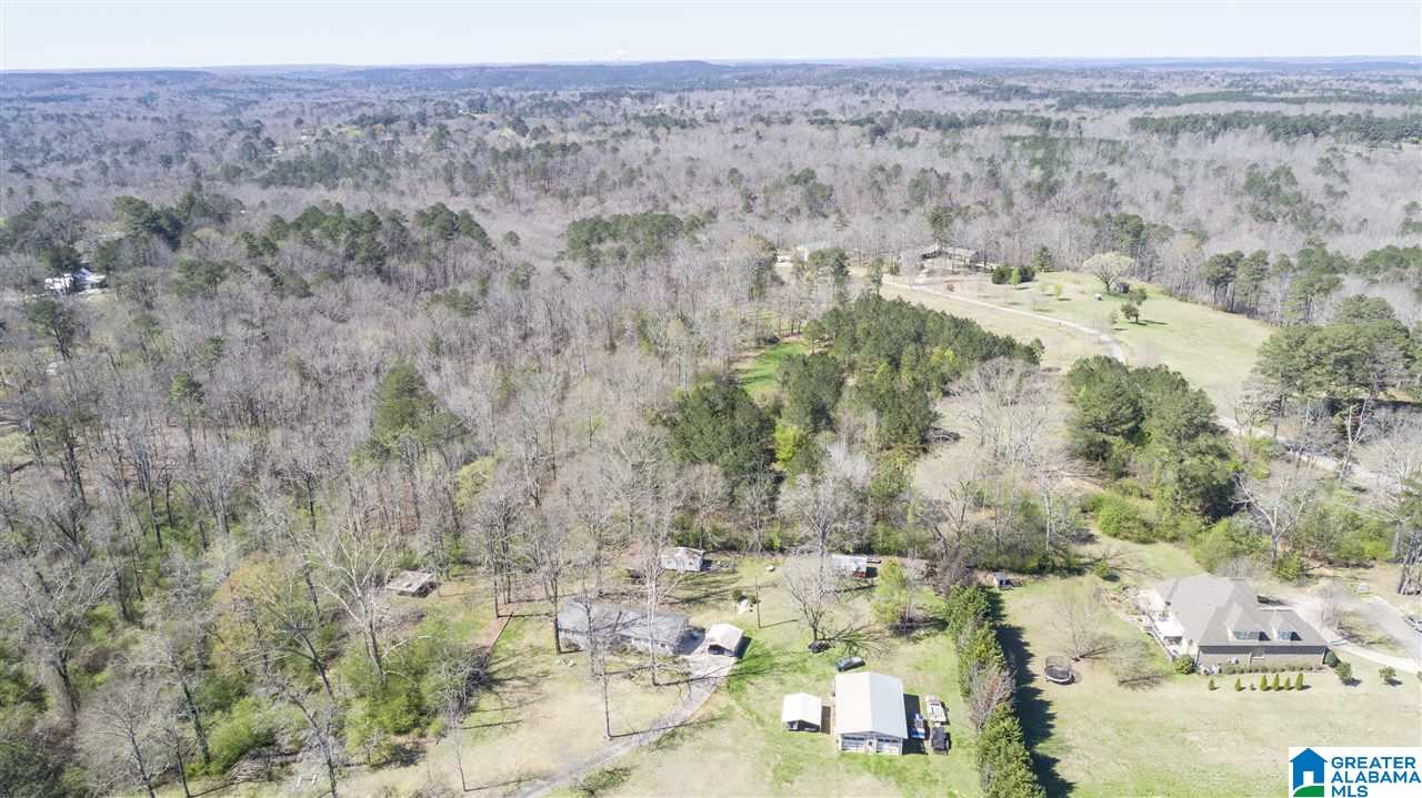 850 Rosemary Way Mount Olive, AL 35117 - Photo 4 of 12
