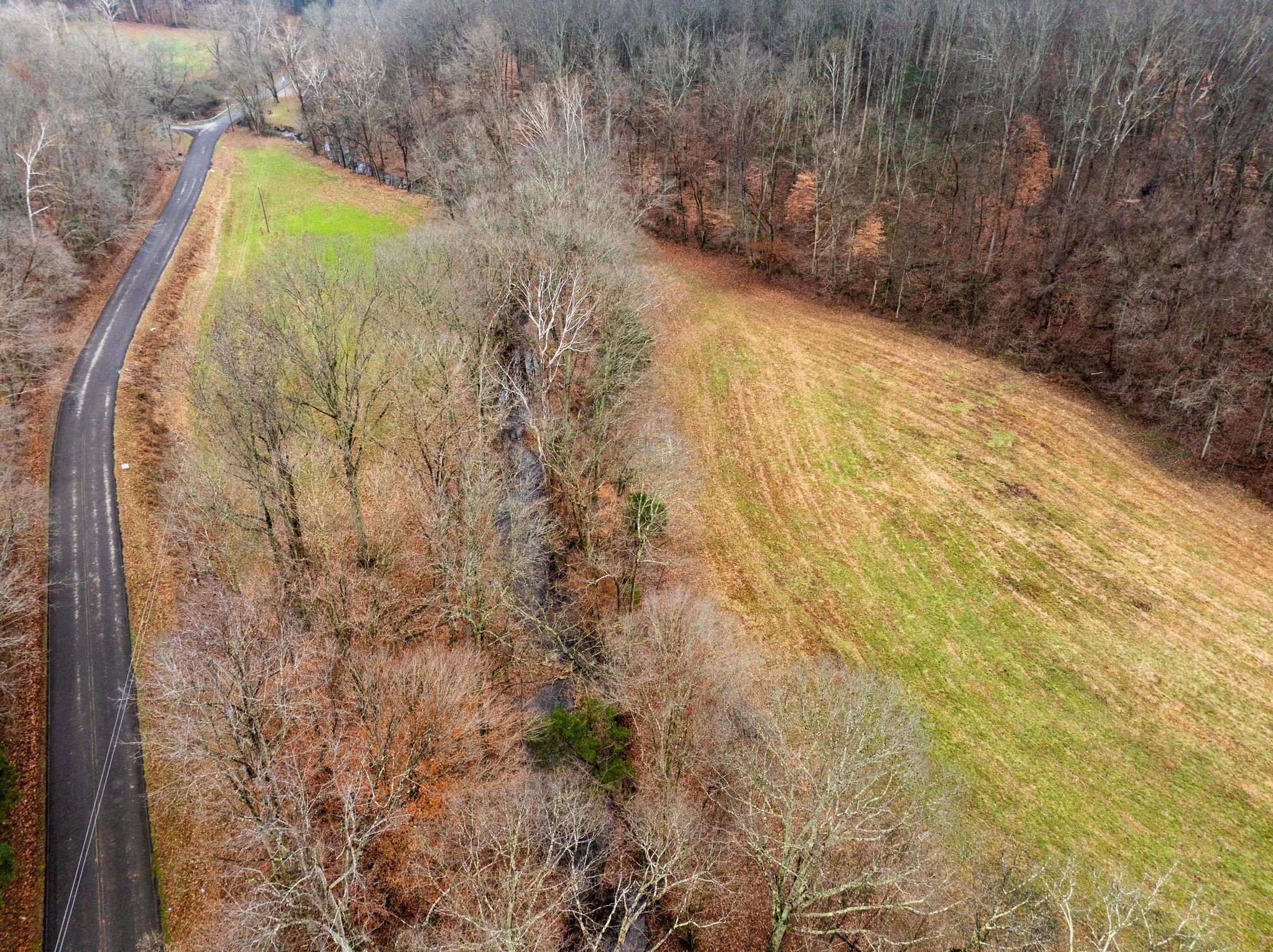 0 Shelter Branch Road Charlotte, TN 37036 - Photo 19 of 30
