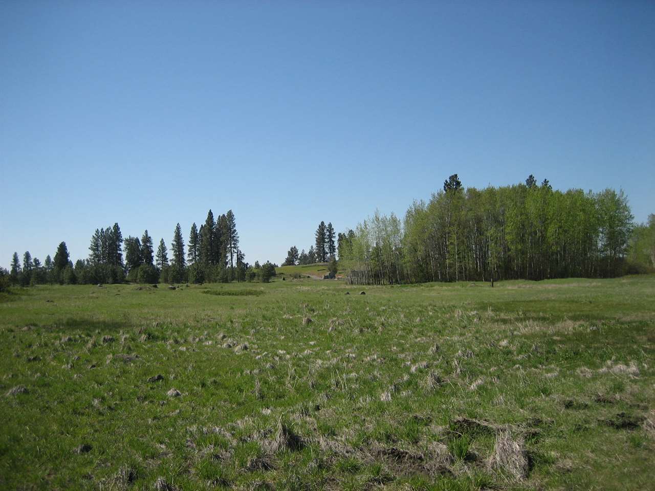 0 South Abbott Road Spokane, WA 99224 - Photo 4 of 11