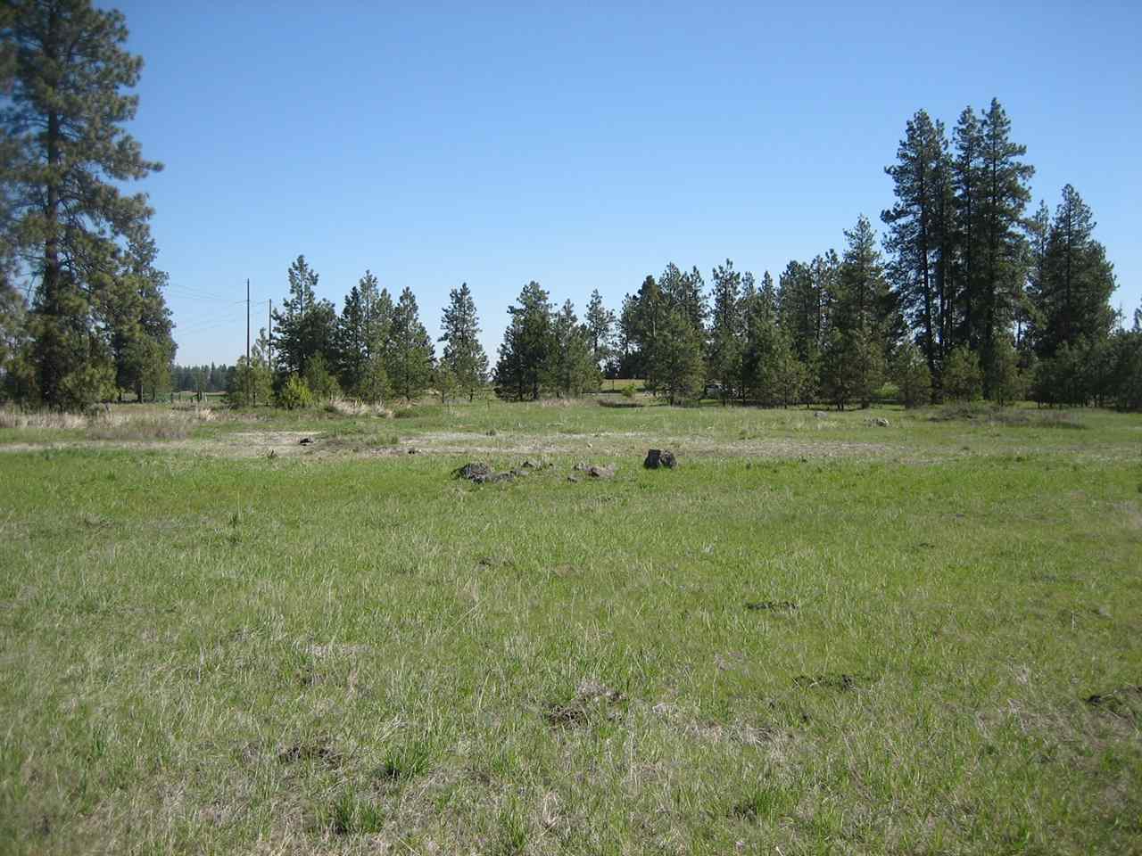 0 South Abbott Road Spokane, WA 99224 - Photo 7 of 11