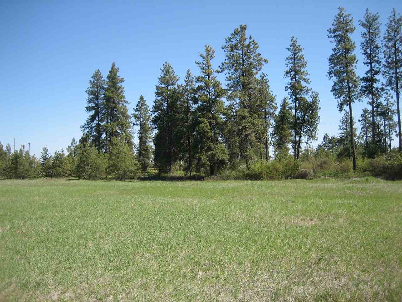 0 South Abbott Road Spokane, WA 99224 - Photo 8 of 11