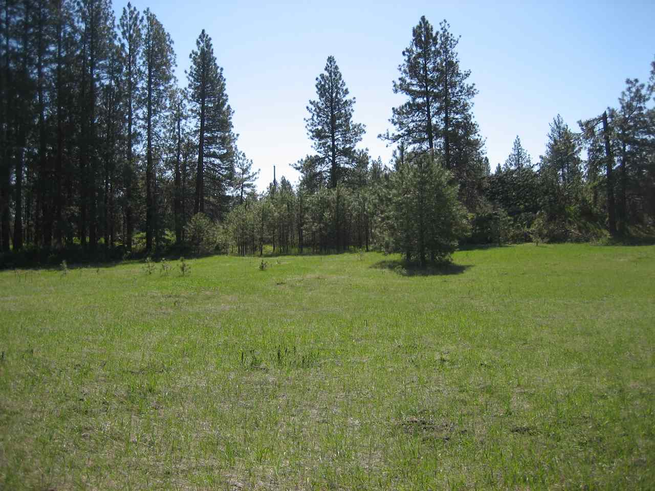 0 South Abbott Road Spokane, WA 99224 - Photo 9 of 11