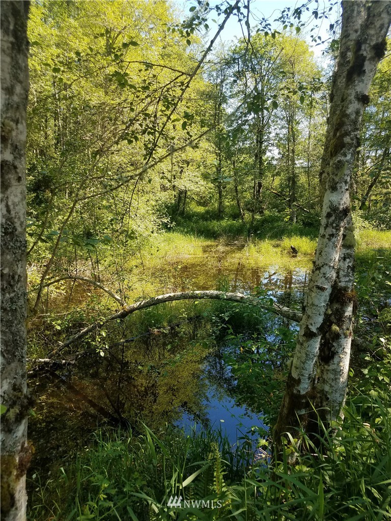 6123 139th Lane Southwest Rochester, WA 98579 - Photo 2 of 15