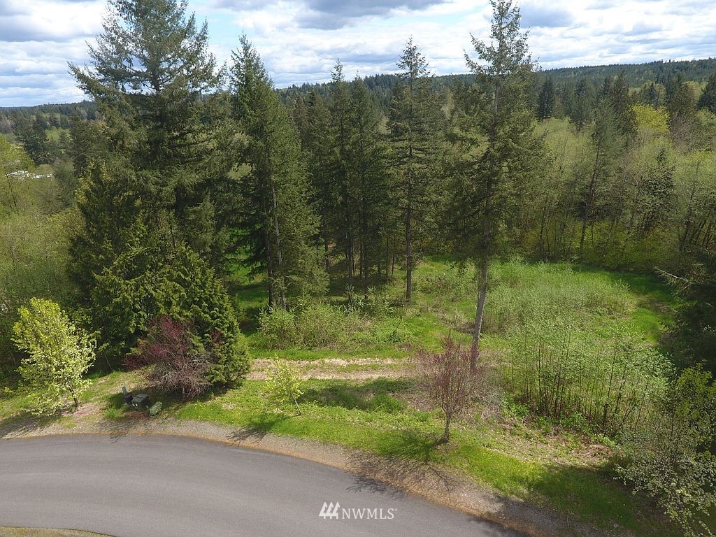 6123 139th Lane Southwest Rochester, WA 98579 - Photo 13 of 15