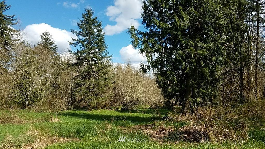 6123 139th Lane Southwest Rochester, WA 98579 - Photo 3 of 15