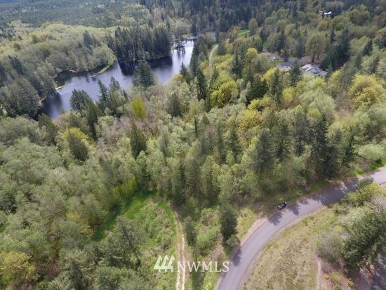 6123 139th Lane Southwest Rochester, WA 98579 - Photo 4 of 15