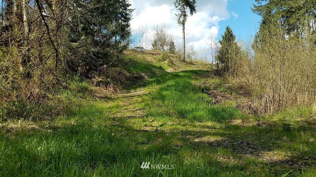 6123 139th Lane Southwest Rochester, WA 98579 - Photo 5 of 15