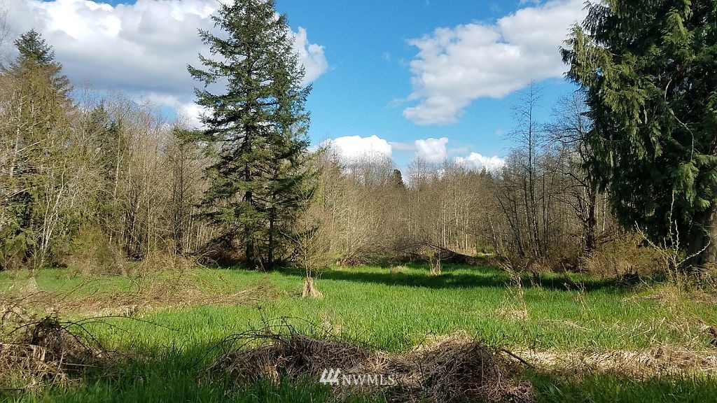 6123 139th Lane Southwest Rochester, WA 98579 - Photo 7 of 15