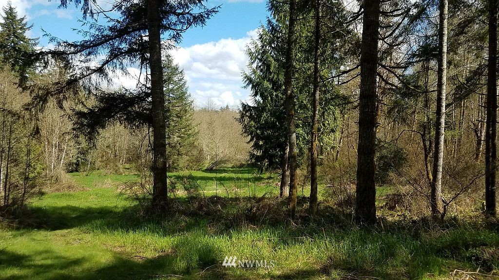 6123 139th Lane Southwest Rochester, WA 98579 - Photo 8 of 15