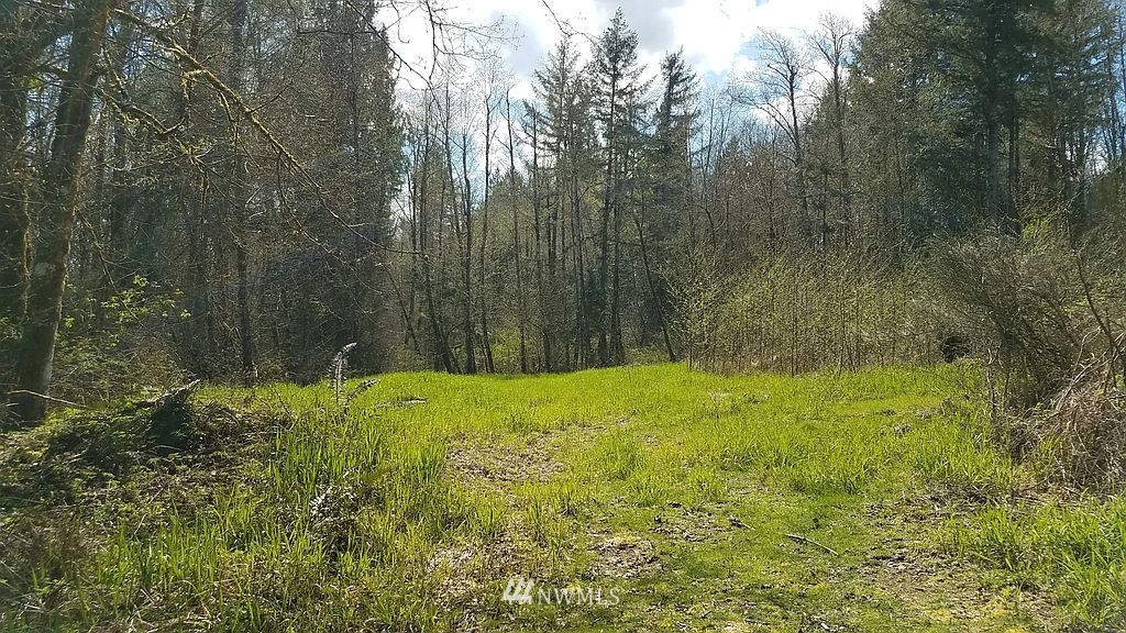 6123 139th Lane Southwest Rochester, WA 98579 - Photo 10 of 15