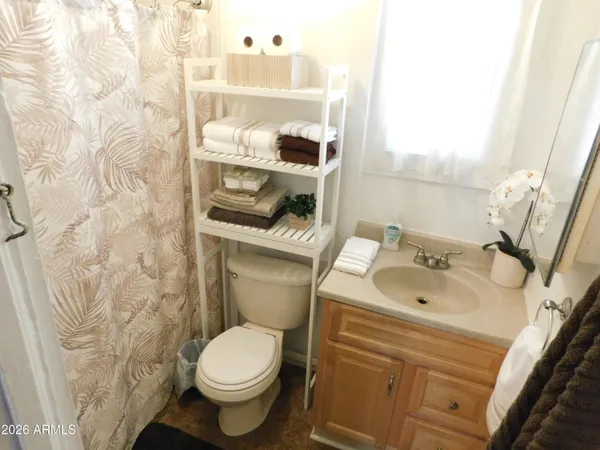 a bathroom with a sink a toilet and shower curtain