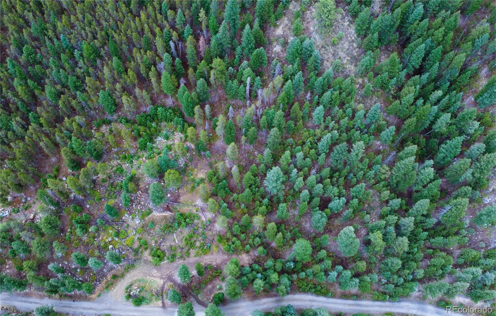 256 Capital Road Dumont, CO 80436 - Photo 29 of 50
