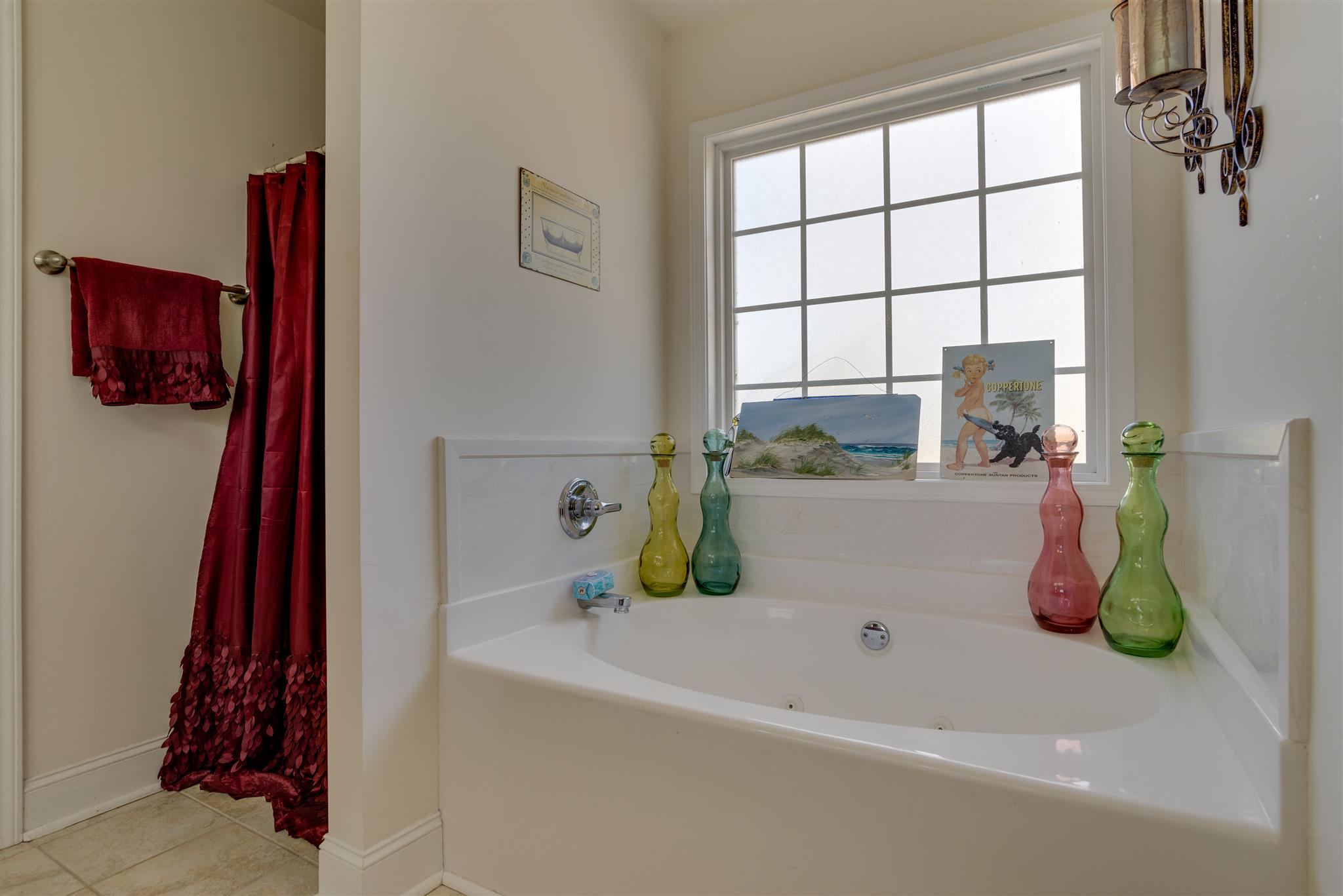 2225 Clara Mathis Road Spring Hill, TN 37174 - Photo 12 of 19 a bathroom with a bath tub and a window