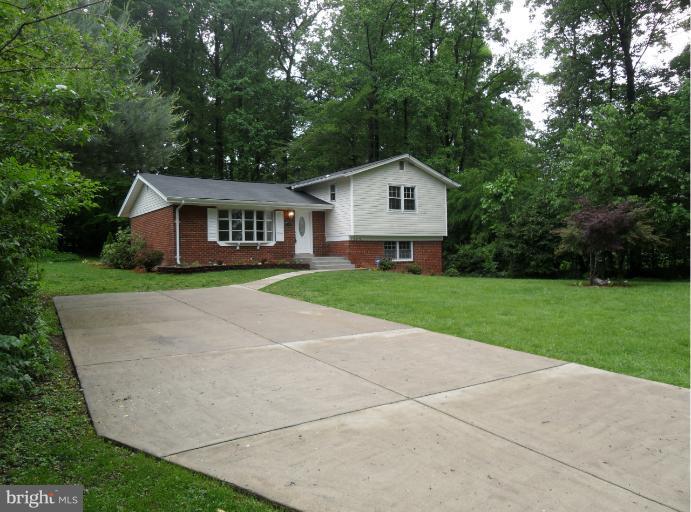 3525 Cornell Road Fairfax, VA 22030 - Photo 17 of 27 Trees Surround this .42 Acre Lot