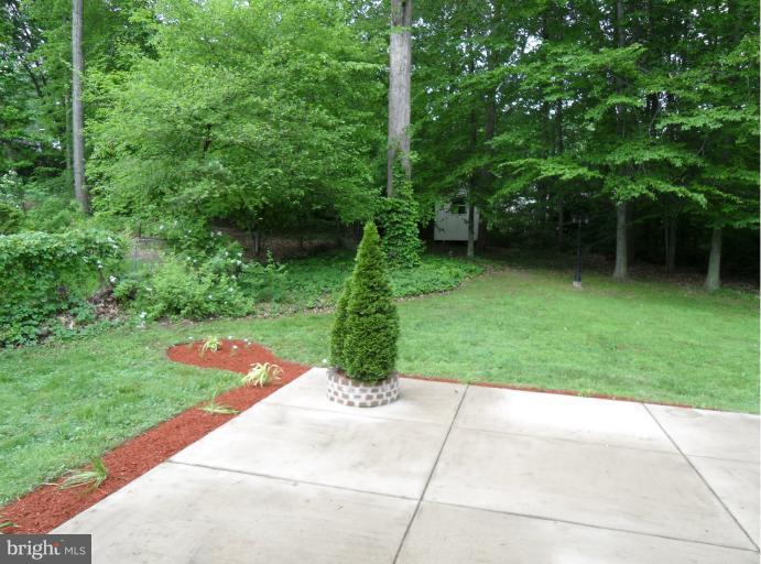 3525 Cornell Road Fairfax, VA 22030 - Photo 20 of 27 Backyard Patio for BBQ Parties!
