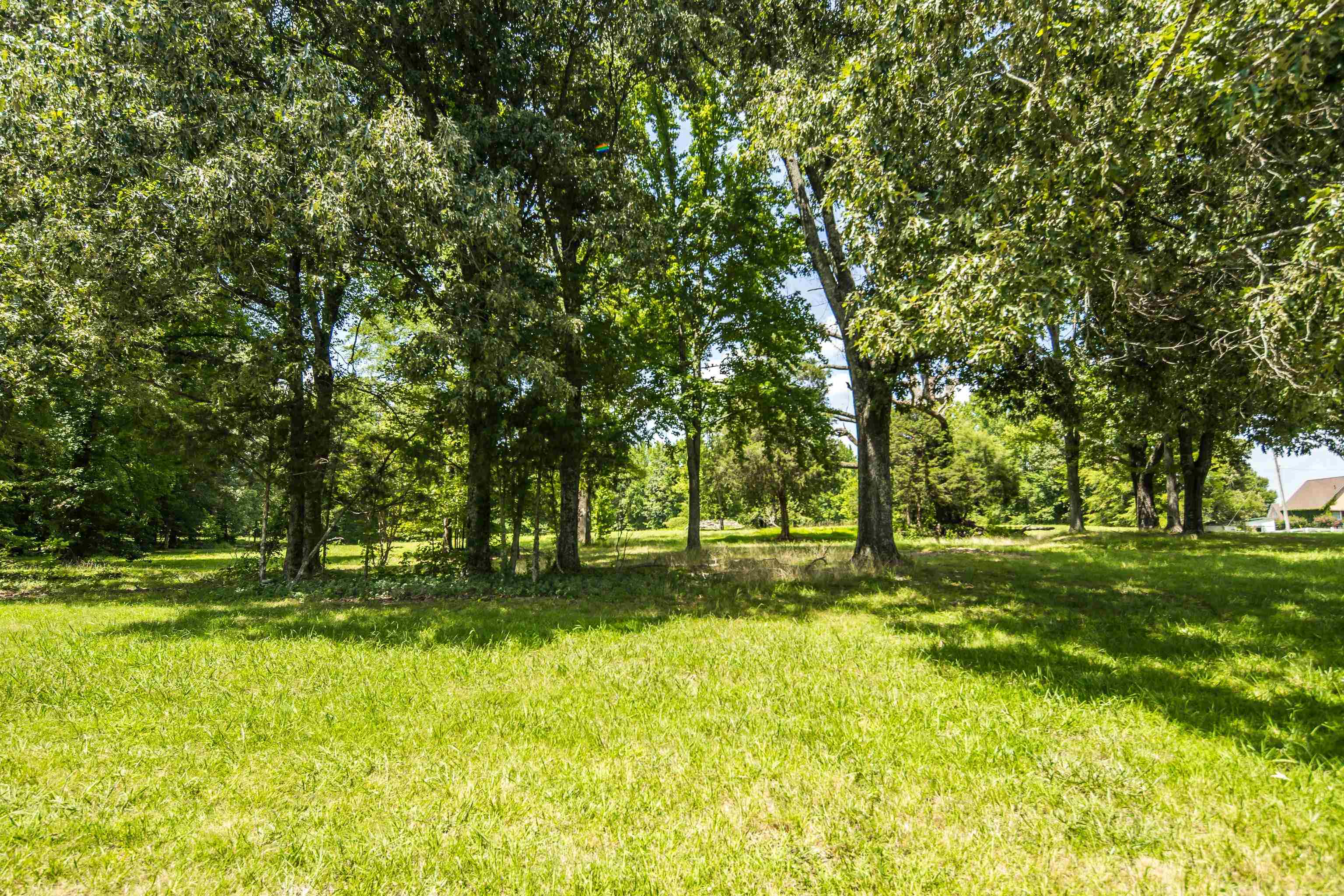 1915 Bobbitt Road Williston, TN 38076 - Photo 38 of 40