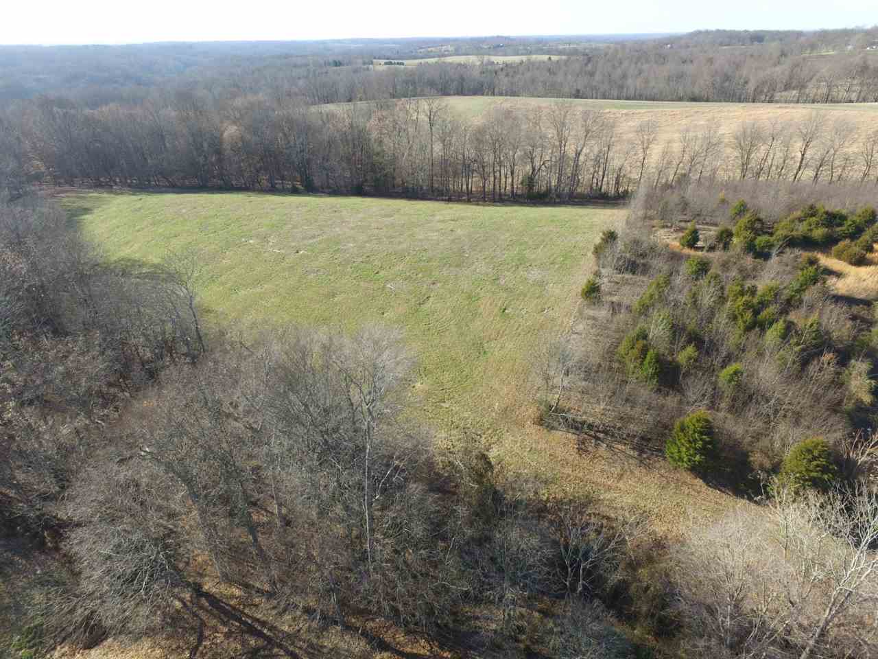 23-acres Cemetery Road Scottsville, KY 42164 - Photo 5 of 32 Gallery Image 5