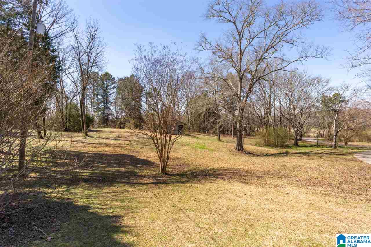 2111 Mitchellville Road Ohatchee, AL 36271 - Photo 40 of 44