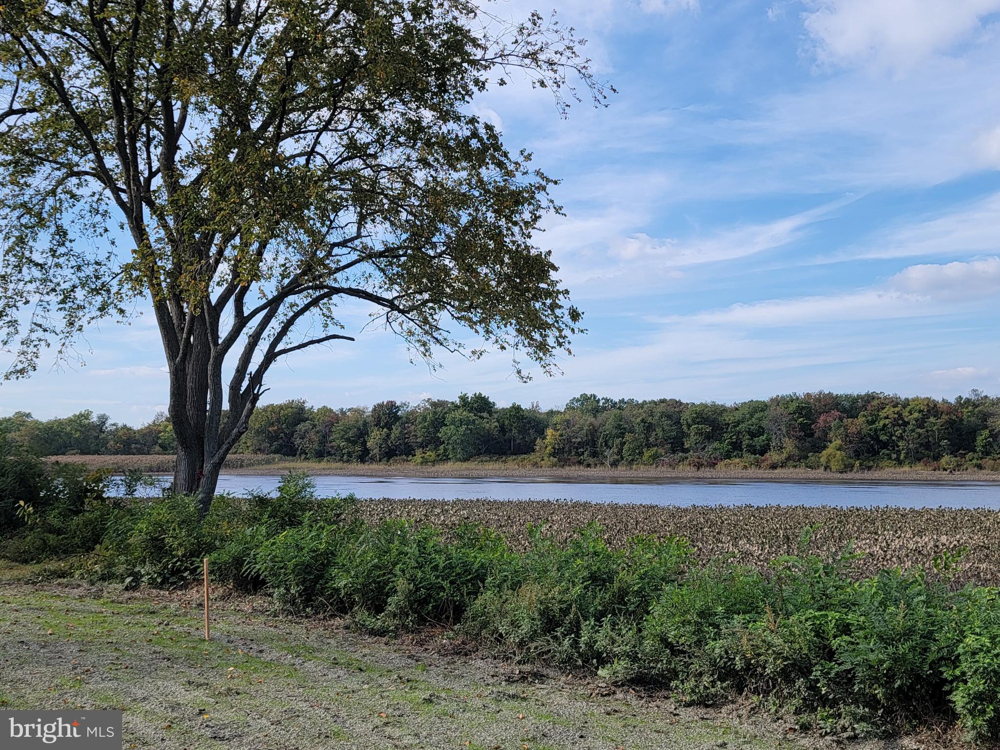 641 Polk Street Riverside, NJ 08075 - Photo 46 of 53