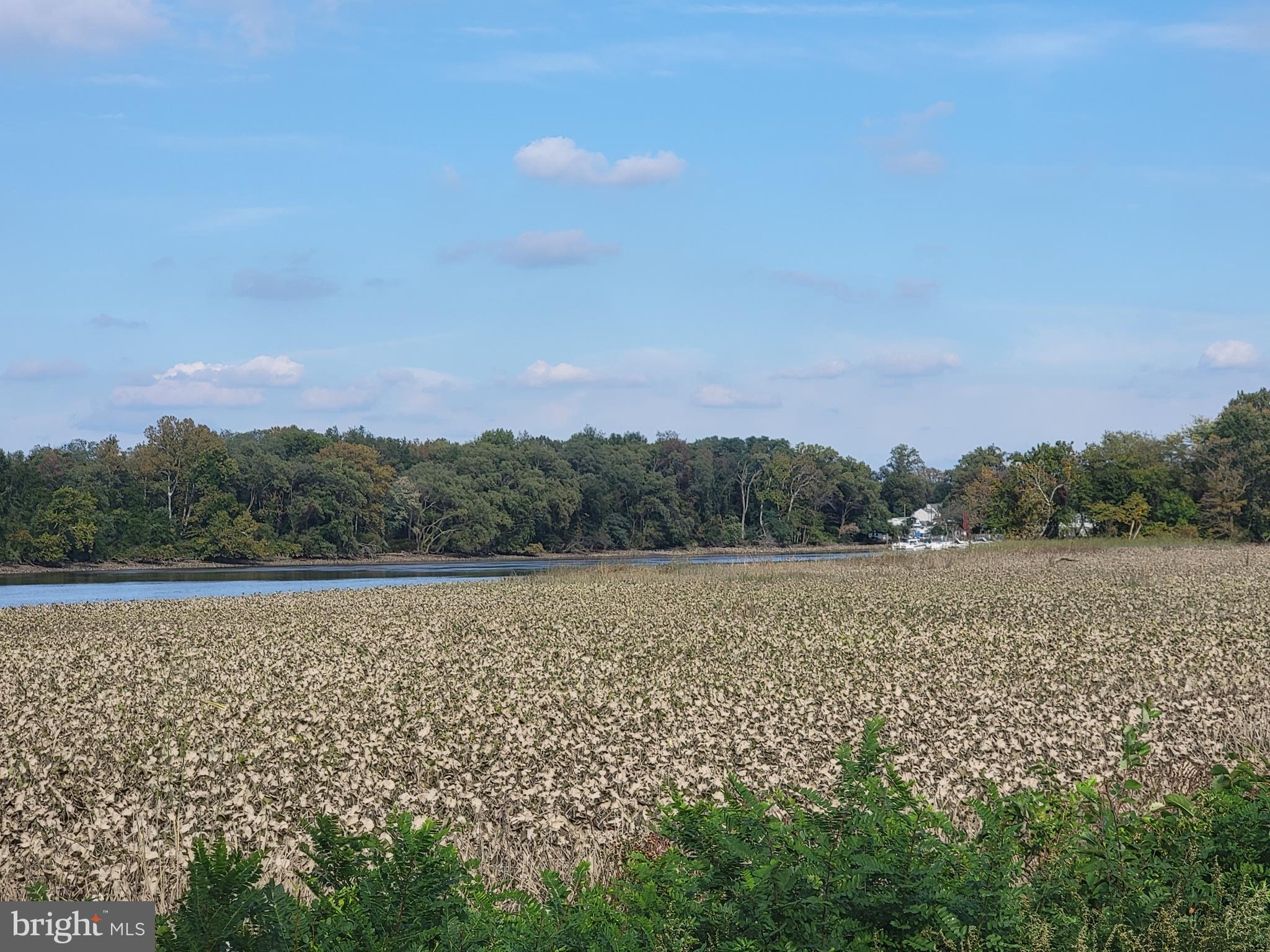 641 Polk Street Riverside, NJ 08075 - Photo 49 of 53