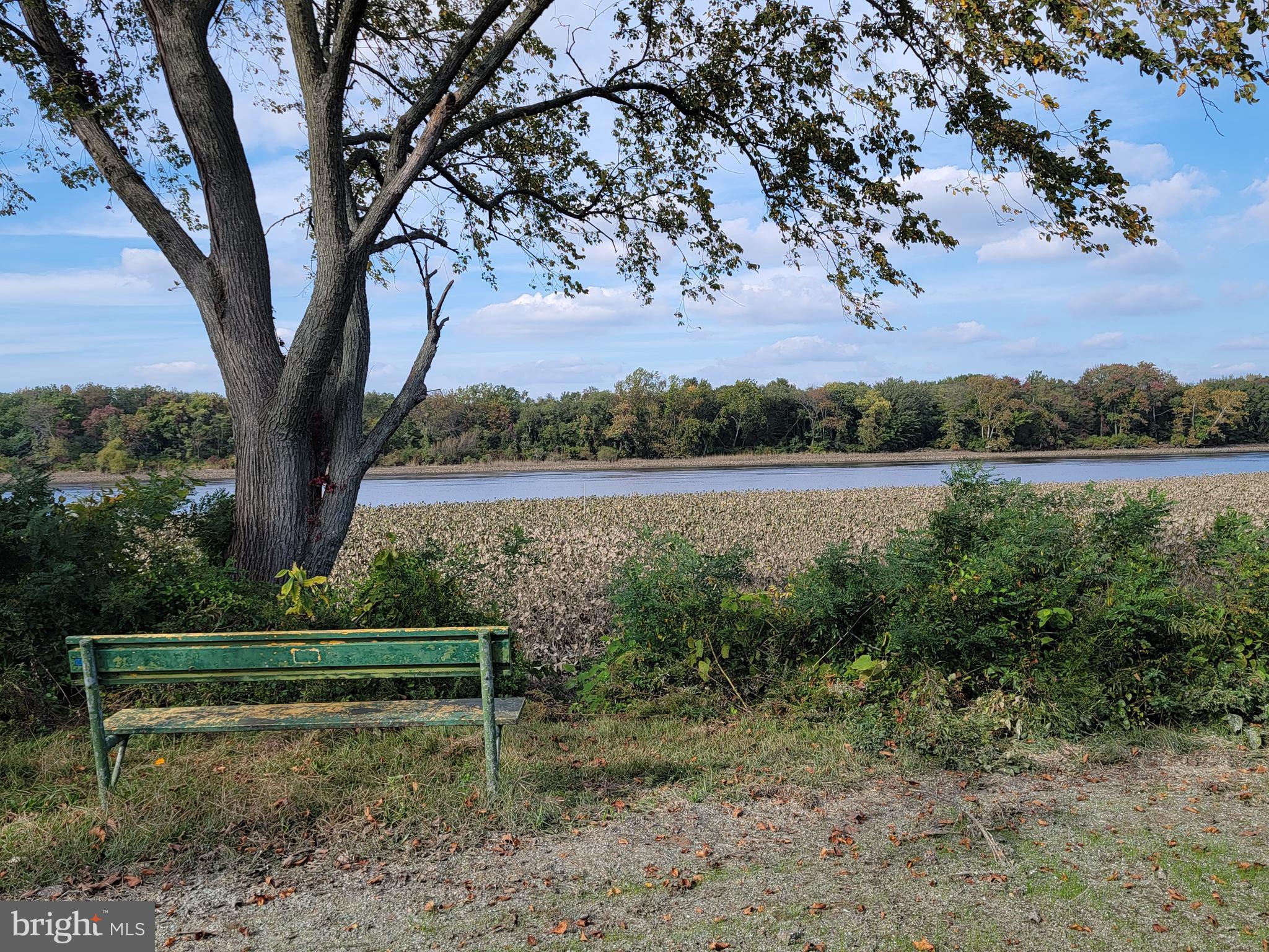 641 Polk Street Riverside, NJ 08075 - Photo 53 of 53
