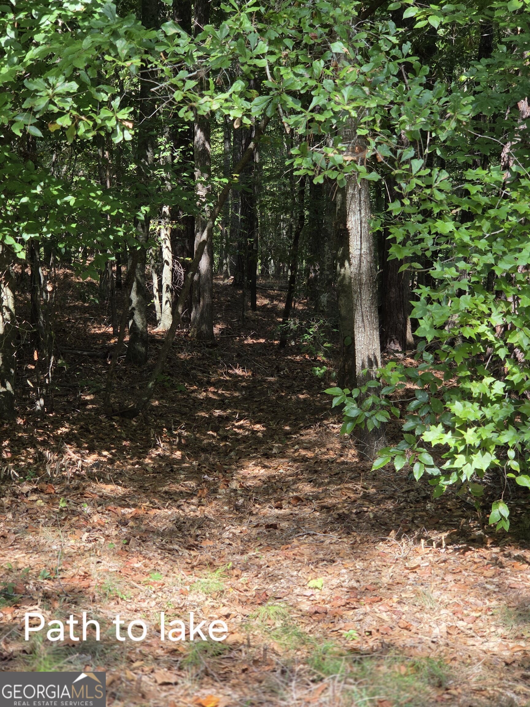 0 Bluff Road, Unit LOT 21 Elberton, GA 30635 - Photo 15 of 18 Gallery Image 15