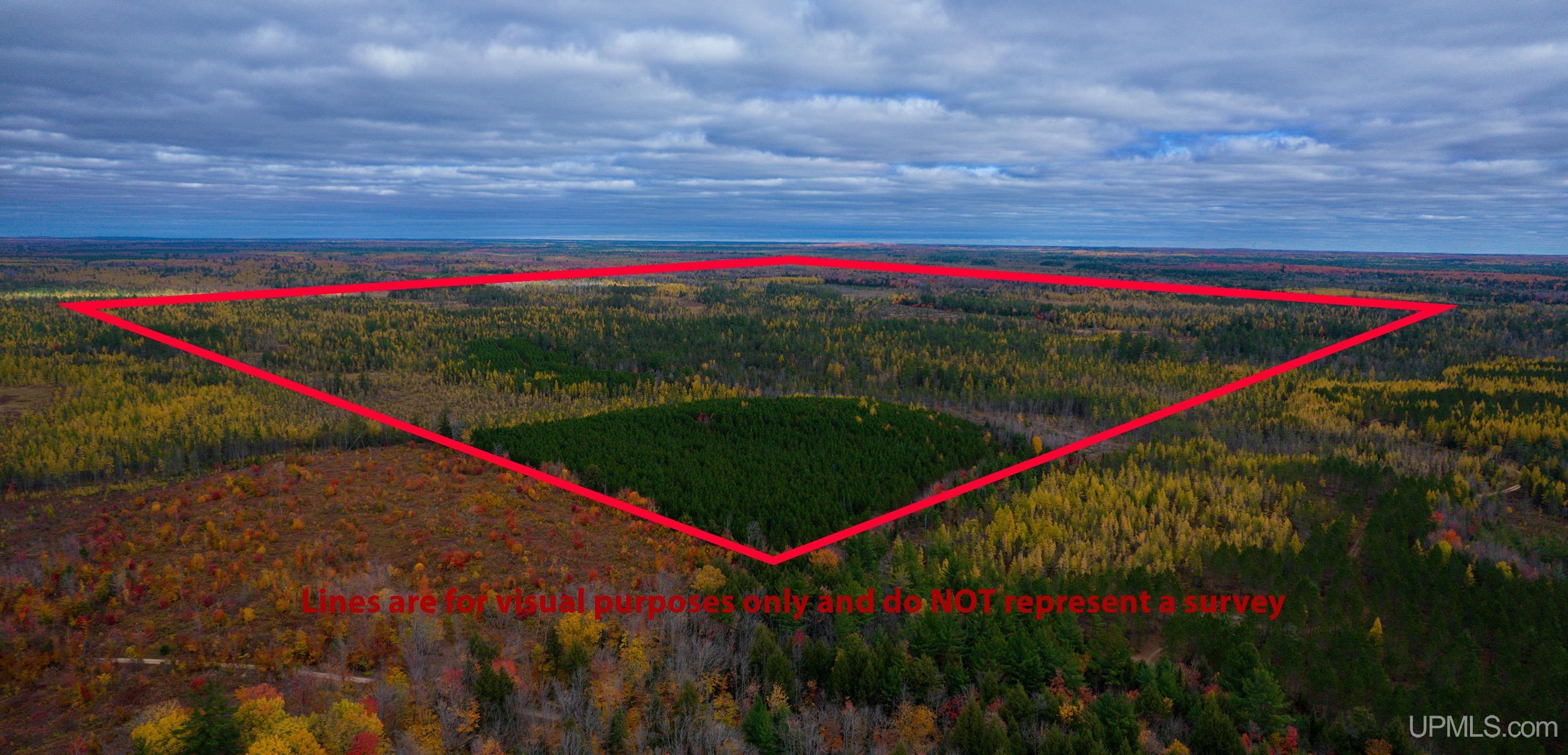 160 Acres Stella Lake Road Wetmore, MI 49895 - Photo 2 of 28