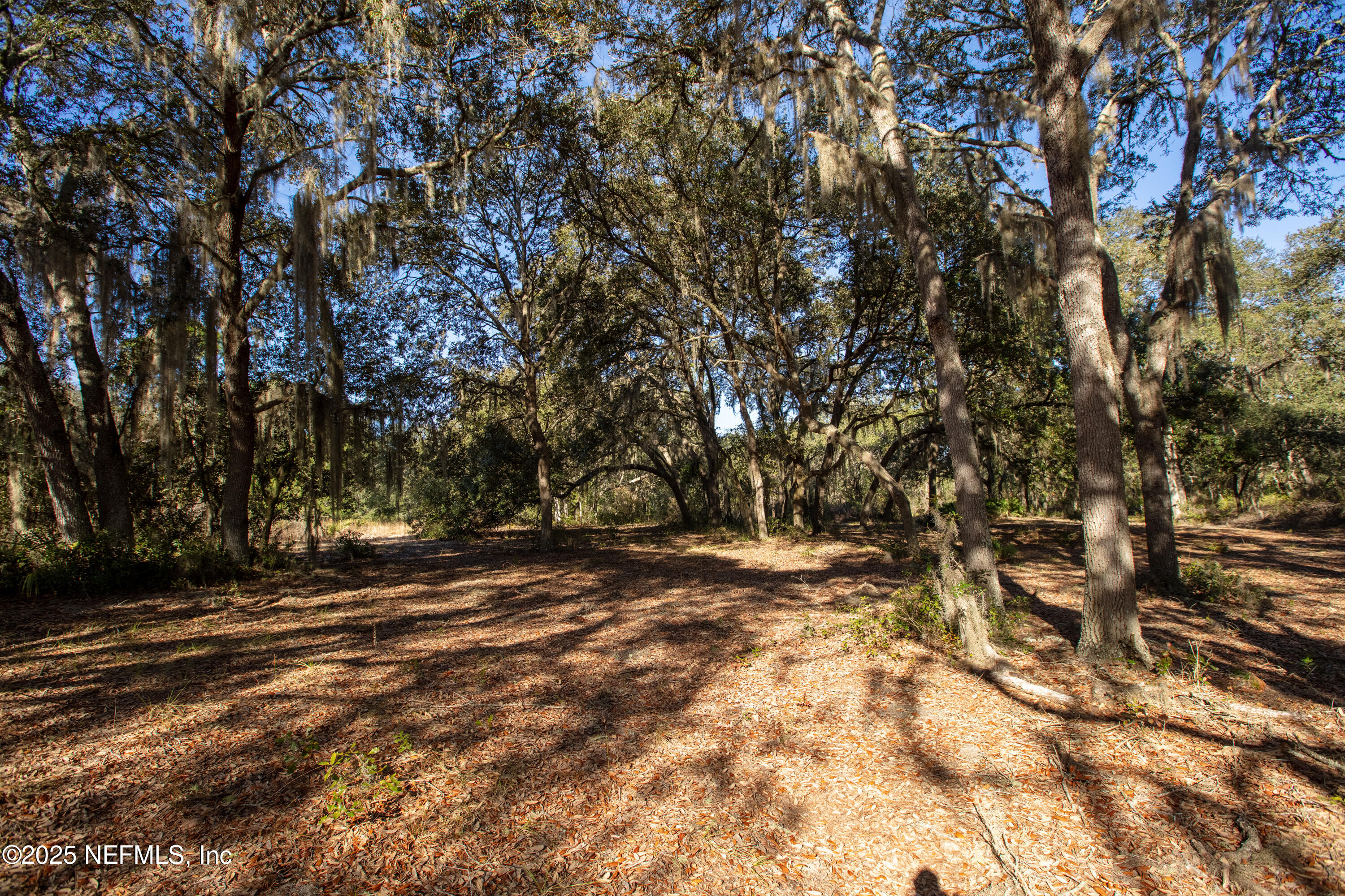 0 Blazing Star Road Melrose, FL 32666 - Photo 4 of 20 BlazingStar-14