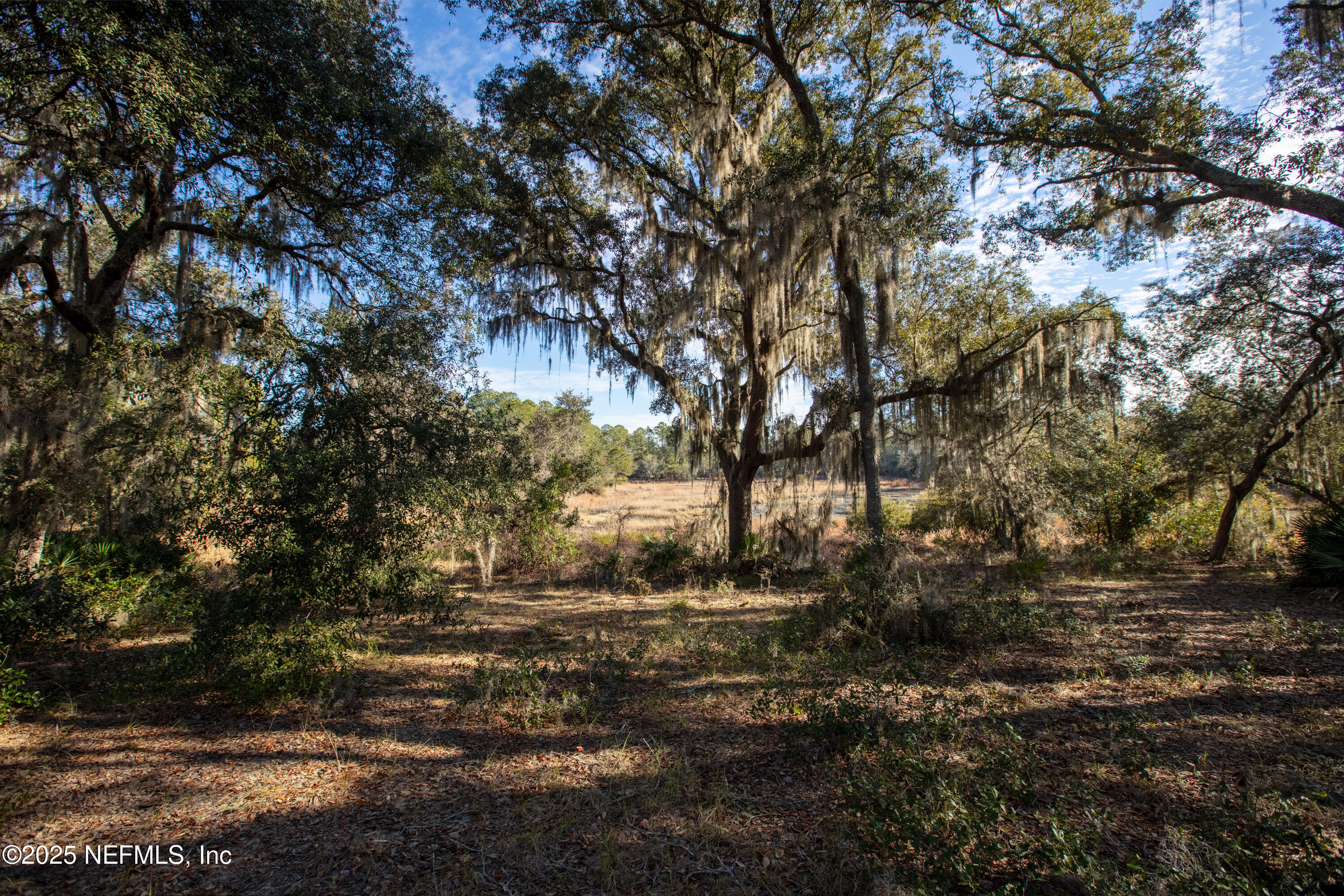 0 Blazing Star Road Melrose, FL 32666 - Photo 5 of 20 BlazingStar-16