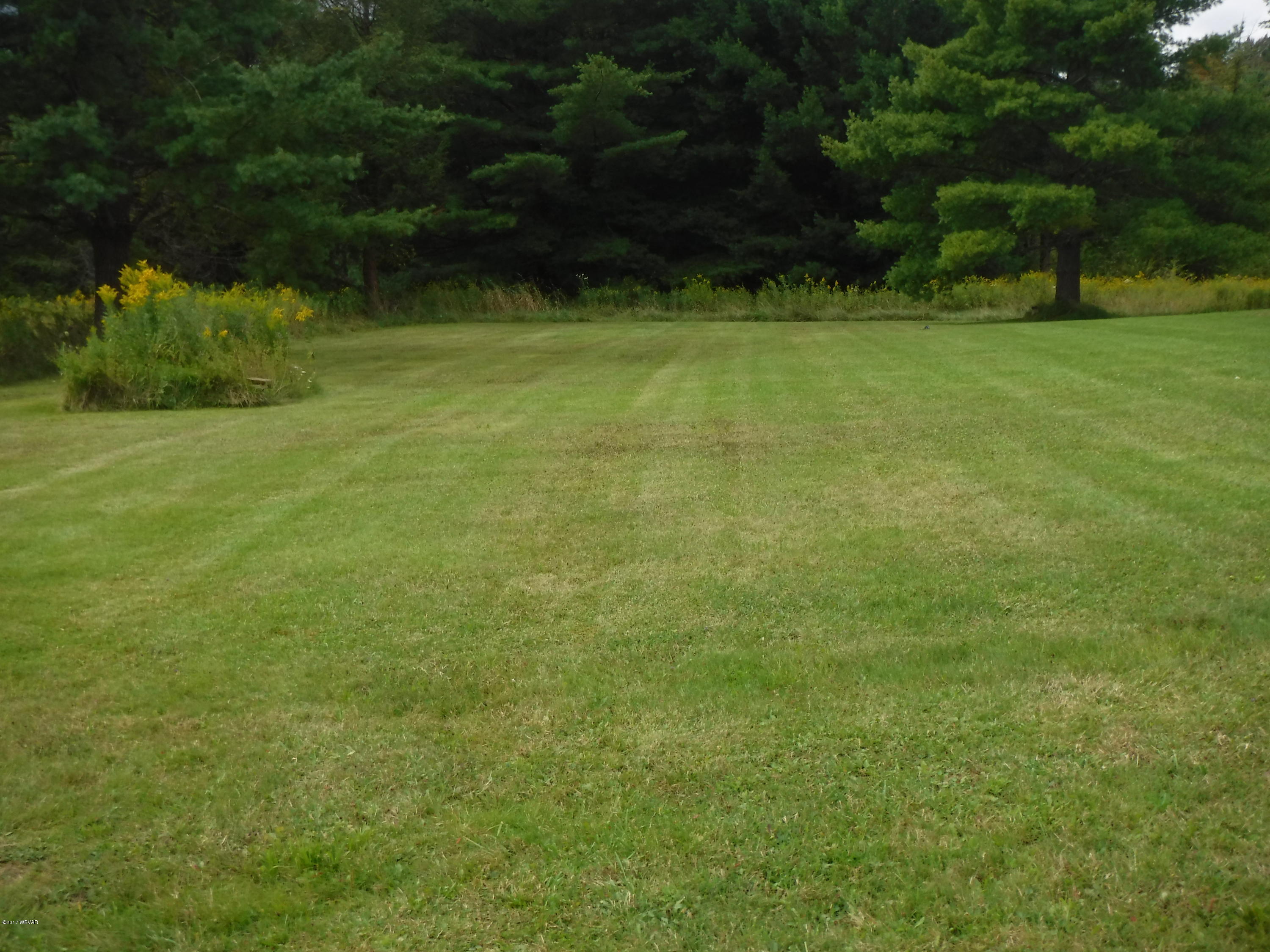 836 Route 4007 Road Forksville, PA 18616 - Photo 11 of 55 Blanchard 041