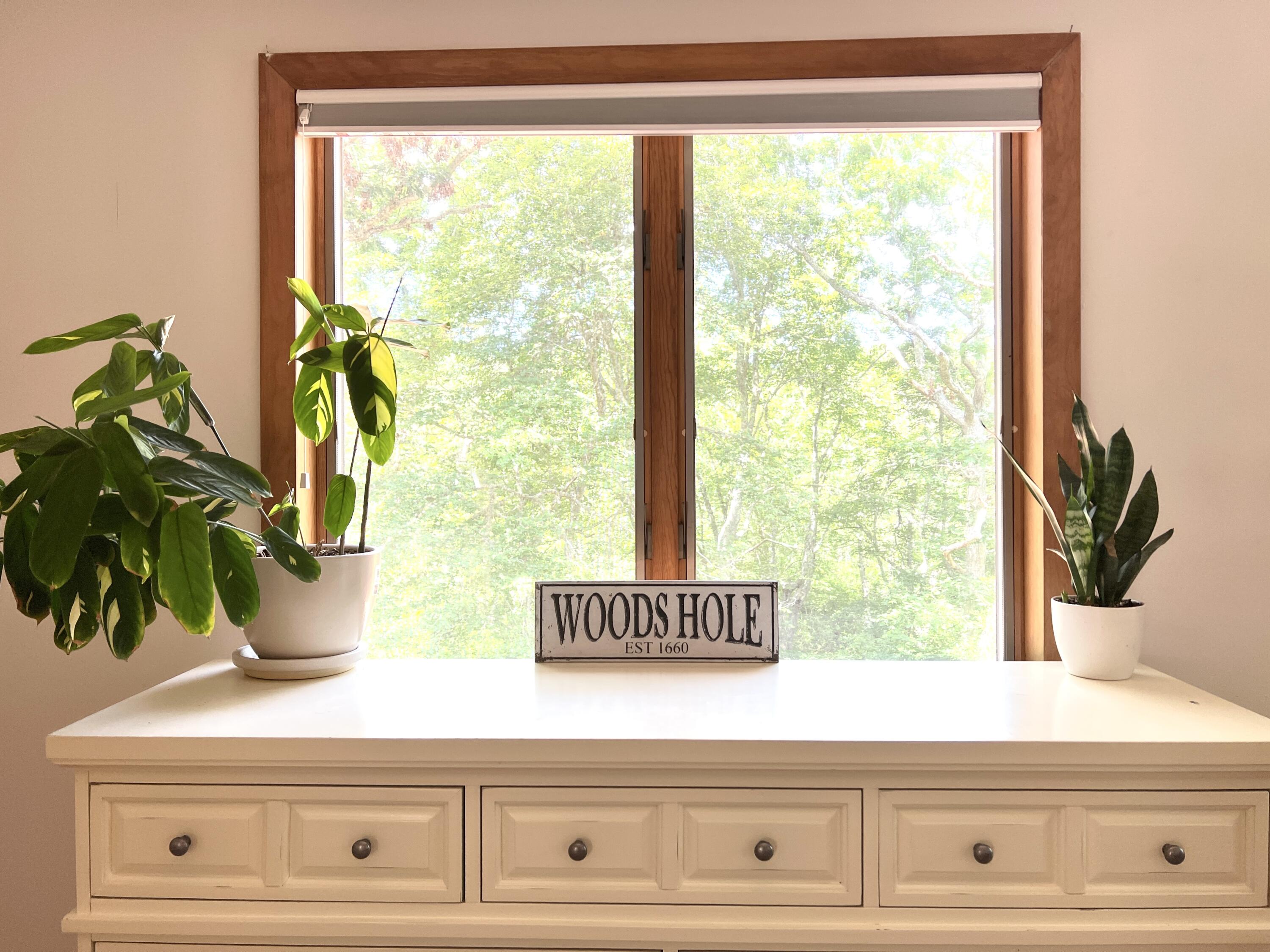 19 Proctor Road Woods Hole, MA 02543 - Photo 20 of 43 a view of front door with potted plant
